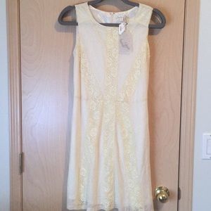 New Hem and Thread Ivory dress